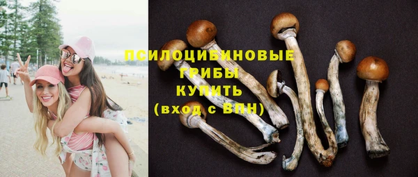 соль курить ск Верхний Тагил
