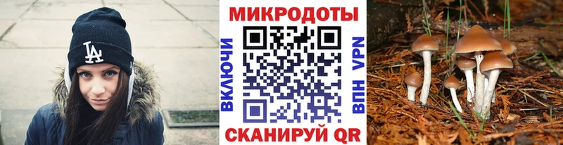 Купить закладки  Певек  Галлюциногенные грибы MAGIC MUSHROOMS 